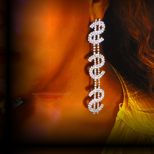 Get Money Earrings - Silver