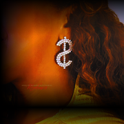 Pay Me Baby Earrings