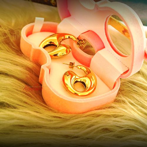 The Gold Standard Earrings